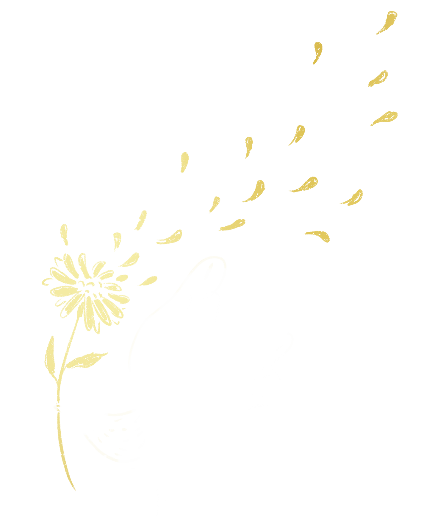 封面左圖